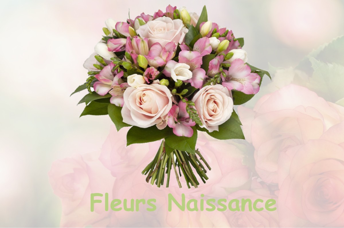 fleurs naissance SAINT-ELOY-LA-GLACIERE